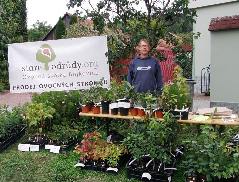 Prodej Stromku Bojkovice